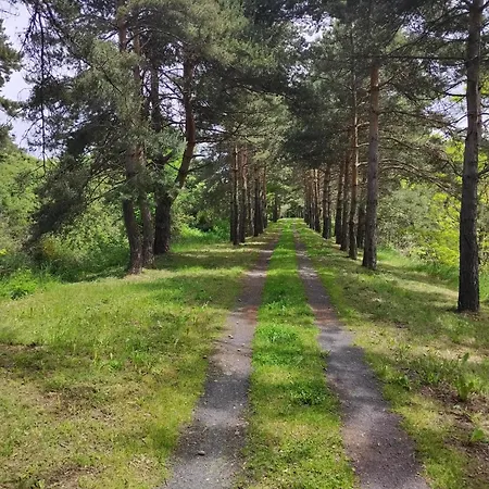 Gite D'Etape Et De Sejour 