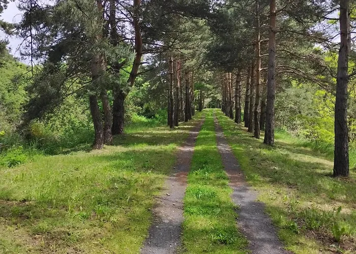 Regord'ane Proche Cascade * Le Brignon